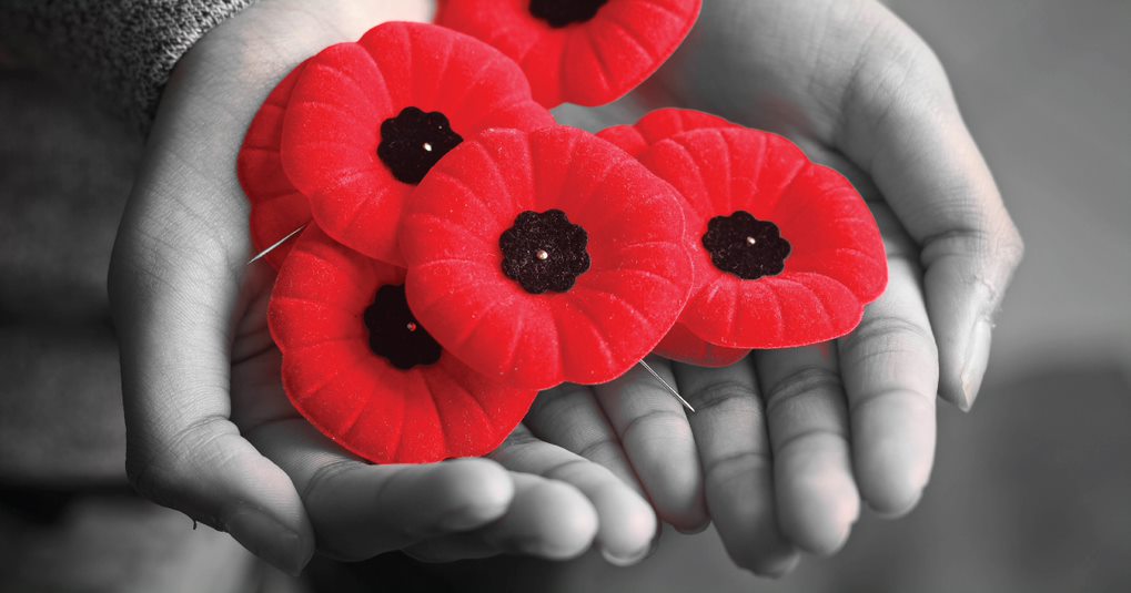 Board and governance practices